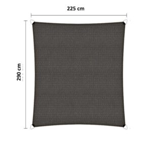 Schaduwdoek 225 x 290 cm HDPE antraciet
